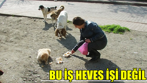 ONLARA HER GÜN BAKIYOR