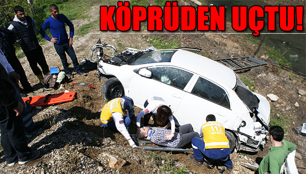 KÖPEĞE ÇARPMAMAK İÇİN KÖPRÜDEN UÇTULAR