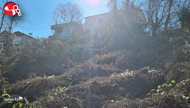 Heyelan korkusu mahalle sakinlerini tedirgin ediyor