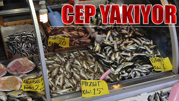 BALIK FİYATLARI FIRLADI