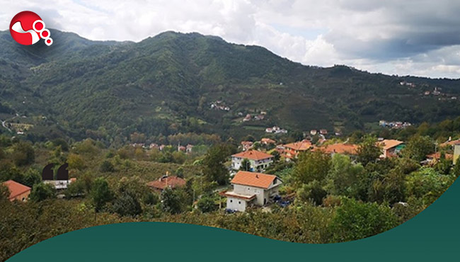 Ödenek tahsis edildi!...