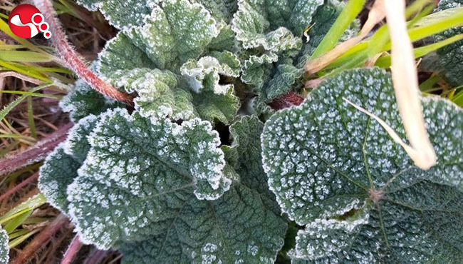 Meteoroloji’den Zonguldak için uyarı geldi!
