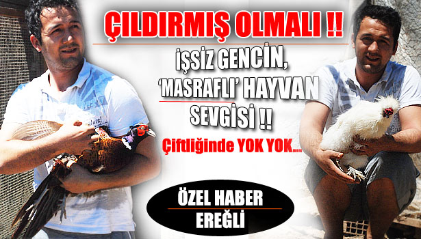 HAYVAN SEVGİSİNİN DE BÖYLESİ