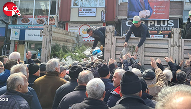Vatandaşlara fidan dağıtıldı