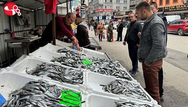 Av yasağına sayılı günler kala…