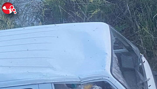 Arı kovanıyla yüklüydü!...