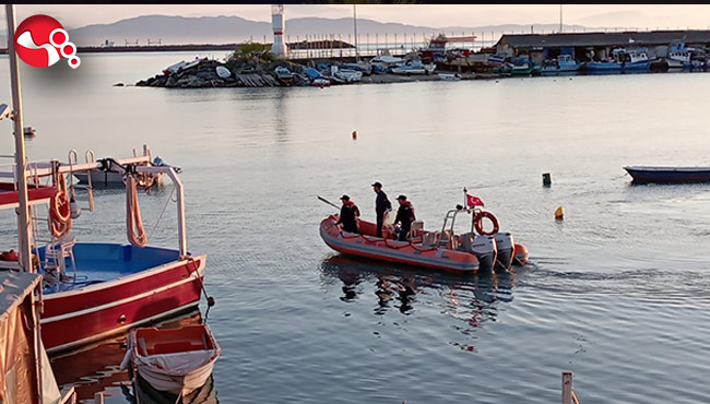 Yavru yunus kurtarıldı