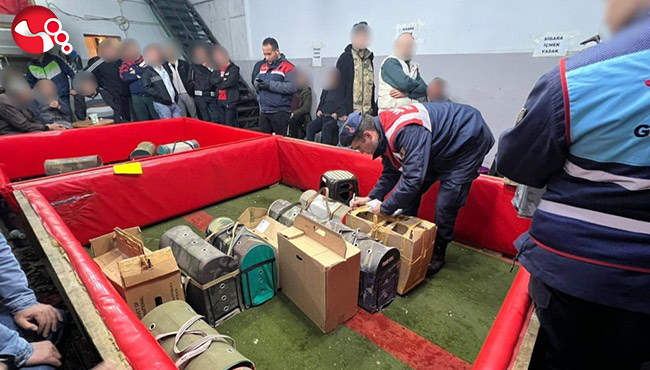 Horoz dövüştürenlere ceza yağdı