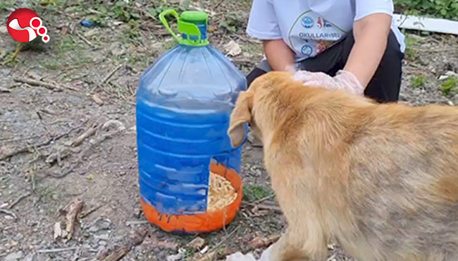 “Atık Yemeklerimiz Sevgiye Dönüşüyor”