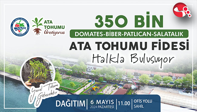 350 bin ata tohumu fidesi dağıtılacak...