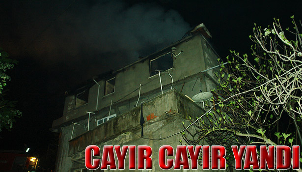 ALAPLI'DA BİR EVDE ÇIKAN YANGIN KORKUTTU