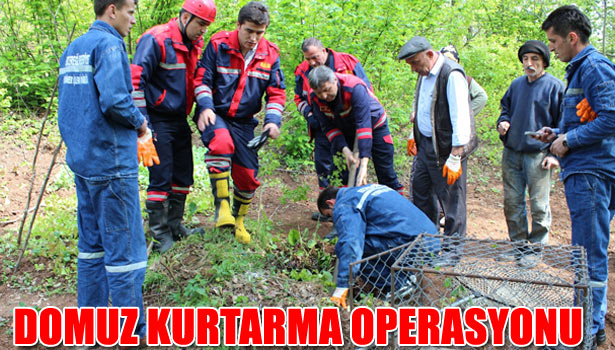 KDZ. EREĞLİ İTFAİYESİNDEN DOMUZ KURTARMA OPERASYONU