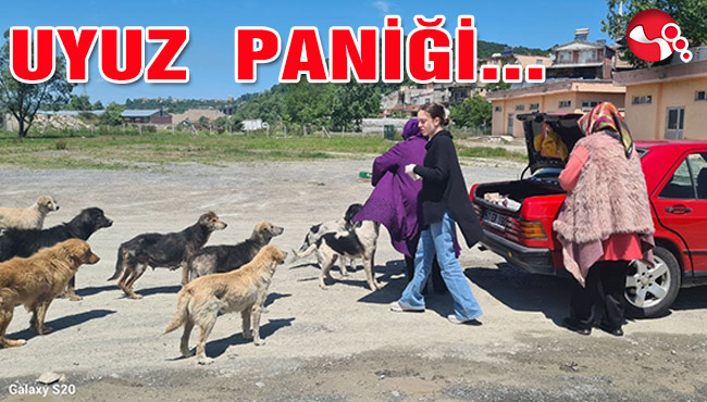 Uyuz Paniği...