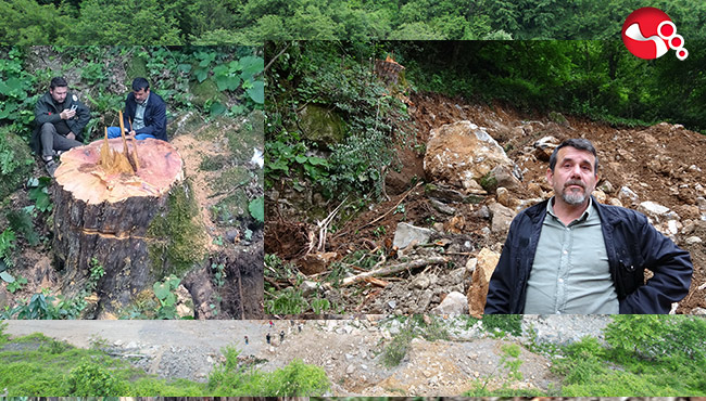 ÇALIŞMALAR DURDURULDU:AĞACIN BAŞINDA NÖBET TUTTU