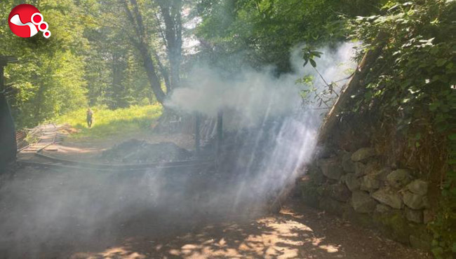 Operasyonlar devam ediyor…