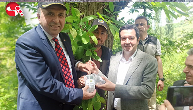 Doğaya Torymus Sinensis salındı