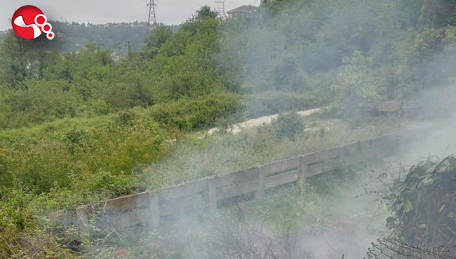 Anız yangını korkuttu