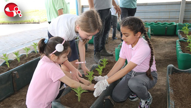 Minik eller çiçek dikti...