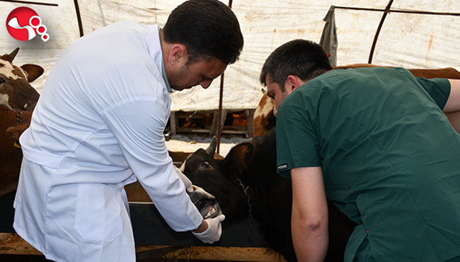 Kurban Yakalama Timi oluşturuldu...