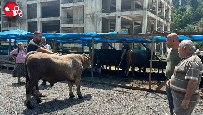 Kurban Pazarında hareketlilik!..