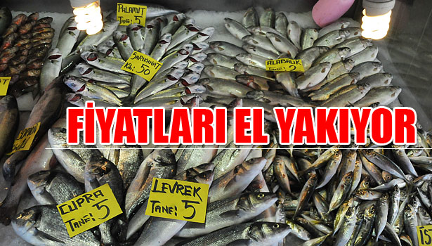 BU HAFTA ZAM ŞAMPİYONU SARIKANAT OLDU