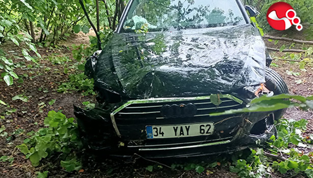 Kontrolden çıktı, tarlaya uçtu!!!