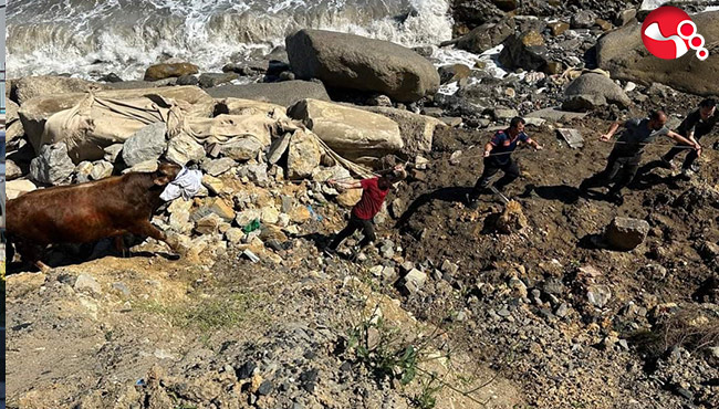 Tam kesilecekti kaçtı