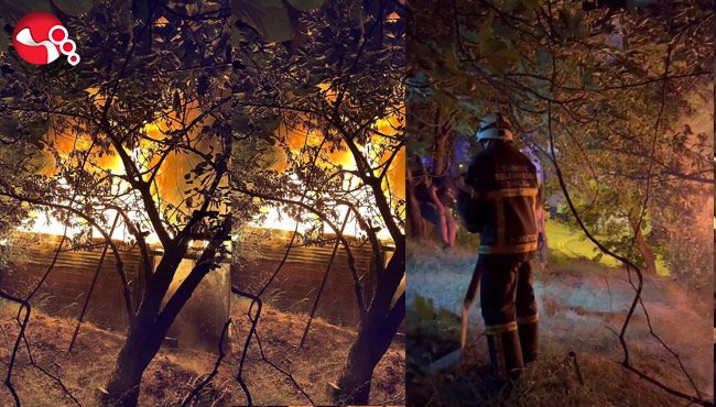 Alevler yayıldı,korkuttu