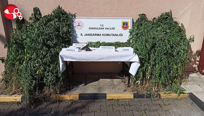 Eş zamanlı operasyon...