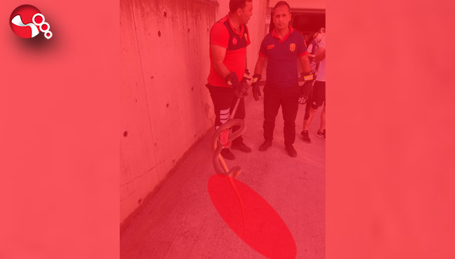 Otoparka girdi,panik yarattı...