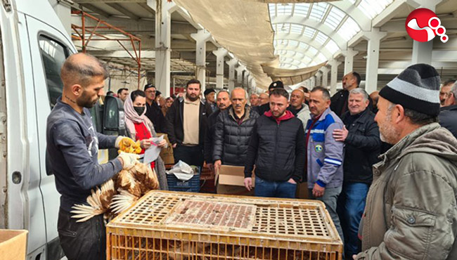 Yumurta Tavuğu dağıtılacak...