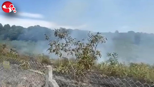 Bahçede yangın paniği!...