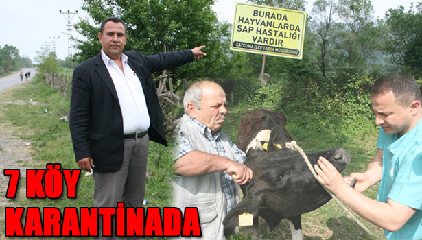 ÇAYCUMA'DA ŞAP KARANTİNASI