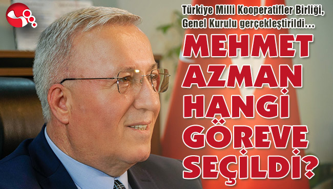 MEHMET AZMAN HANGİ GÖREVE SEÇİLDİ?