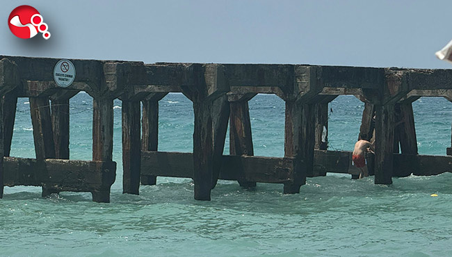 Yasağa aldırmayıp canlarını hiçe saydılar