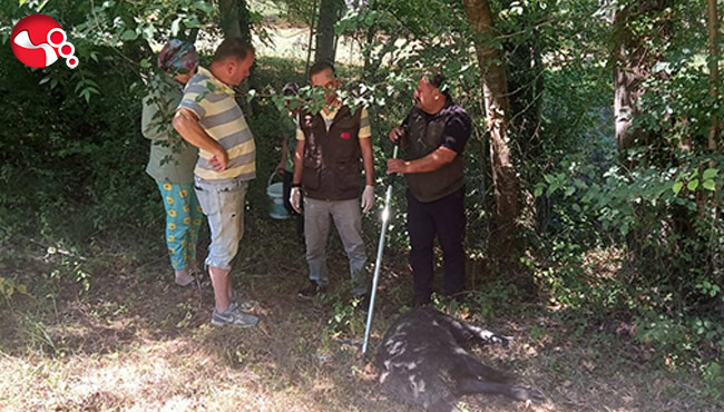 Su kuyusuna düştü