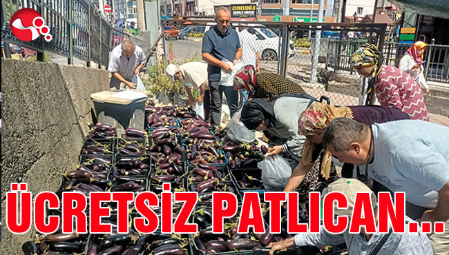 Yüzlerce kişiye ücretsiz patlıcan dağıttılar