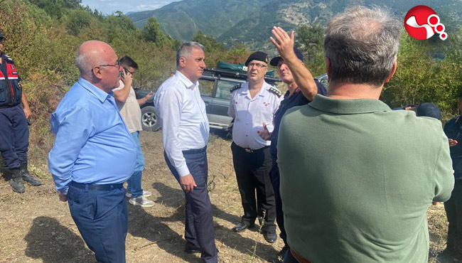 Milletvekili Bozkurt yangın bölgesinde!.....