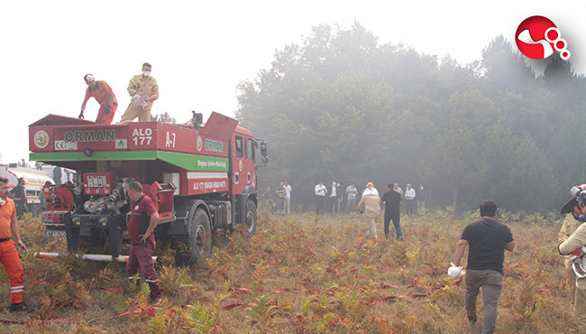 Orman Yangınında soğutma çalışmaları tamamlandı