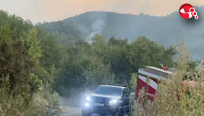 Ormanlık alanda yangın paniği!...
