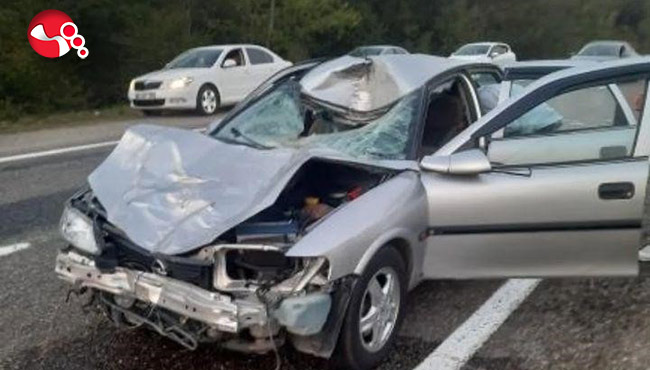 Aniden yola fırladı:Yaralılar var