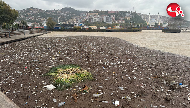 Sahilde çevre kirliliği oluştu