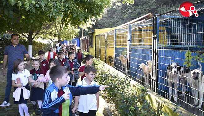 Minikler sevimli dostları ziyaret ettiler...