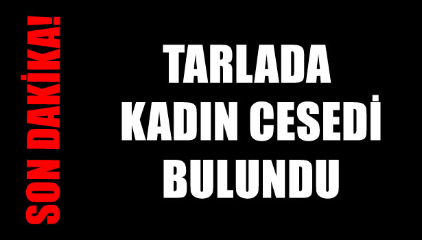 KDZ. EREĞLİ'DE FINDIK TARLASINDA KADIN CESEDİ BULUNDU