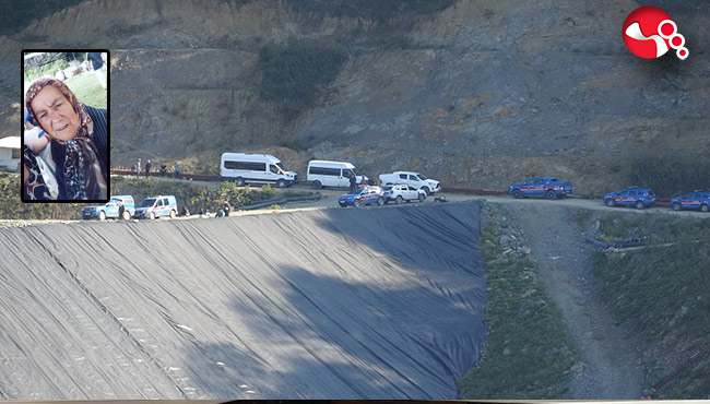 Defne yaprağı topluyordu!...