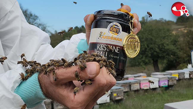 Kestane balının kalitesi dünyaya ulaştı...