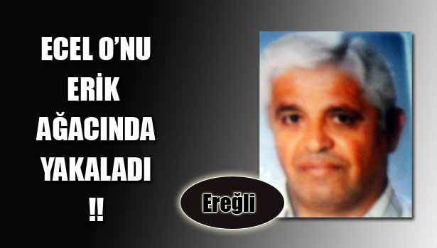 AĞAÇTAN DÜŞEN TALİHSİZ ADAM HAYATINI KAYBETTİ