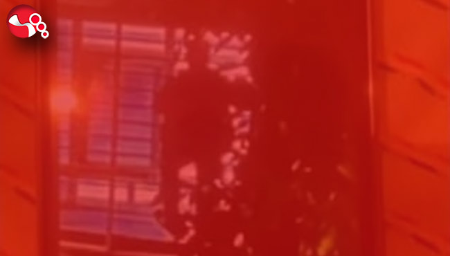 EVLERİ GÖZETLİYORDU