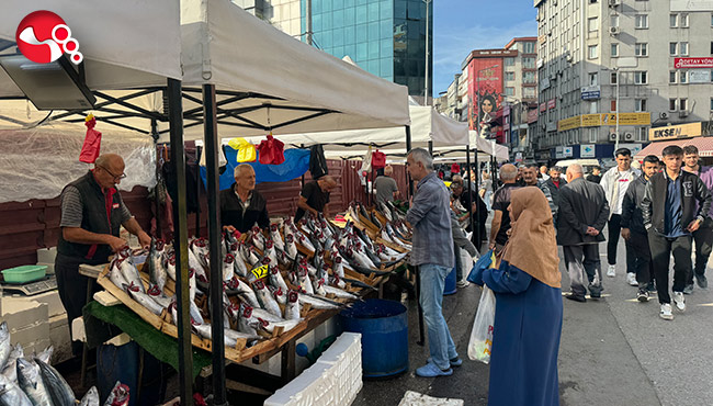 Tezgahlarda en pahalı balık mezgit