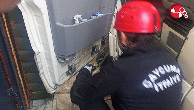 Minibüse yılan girdi